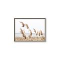 Picture of Beach Pampas _GroupedProduct_Rectangle_Landscape_Photography _GroupedProduct_Rectangle_Landscape_Canvas_Framed_