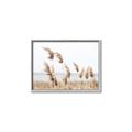 Picture of Beach Pampas _GroupedProduct_Rectangle_Landscape_Photography _GroupedProduct_Rectangle_Landscape_Canvas_Framed_