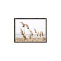 Picture of Beach Pampas _GroupedProduct_Rectangle_Landscape_Photography _GroupedProduct_Rectangle_Landscape_Canvas_Framed_