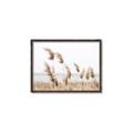 Picture of Beach Pampas _GroupedProduct_Rectangle_Landscape_Photography _GroupedProduct_Rectangle_Landscape_Canvas_Framed_