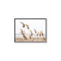 Picture of Beach Pampas _GroupedProduct_Rectangle_Landscape_Photography _GroupedProduct_Rectangle_Landscape_Canvas_Framed_
