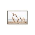 Picture of Beach Pampas _GroupedProduct_Rectangle_Landscape_Photography _GroupedProduct_Rectangle_Landscape_Canvas_Framed_