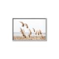 Picture of Beach Pampas _GroupedProduct_Rectangle_Landscape_Photography _GroupedProduct_Rectangle_Landscape_Canvas_Framed_