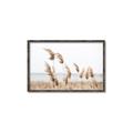 Picture of Beach Pampas _GroupedProduct_Rectangle_Landscape_Photography _GroupedProduct_Rectangle_Landscape_Canvas_Framed_