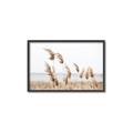 Picture of Beach Pampas _GroupedProduct_Rectangle_Landscape_Photography _GroupedProduct_Rectangle_Landscape_Canvas_Framed_