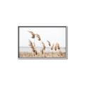 Picture of Beach Pampas _GroupedProduct_Rectangle_Landscape_Photography _GroupedProduct_Rectangle_Landscape_Canvas_Framed_