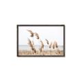 Picture of Beach Pampas _GroupedProduct_Rectangle_Landscape_Photography _GroupedProduct_Rectangle_Landscape_Canvas_Framed_