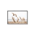 Picture of Beach Pampas _GroupedProduct_Rectangle_Landscape_Photography _GroupedProduct_Rectangle_Landscape_Canvas_Framed_