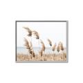 Picture of Beach Pampas _GroupedProduct_Rectangle_Landscape_Photography _GroupedProduct_Rectangle_Landscape_Canvas_Framed_