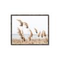 Picture of Beach Pampas _GroupedProduct_Rectangle_Landscape_Photography _GroupedProduct_Rectangle_Landscape_Canvas_Framed_