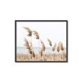 Picture of Beach Pampas _GroupedProduct_Rectangle_Landscape_Photography _GroupedProduct_Rectangle_Landscape_Canvas_Framed_