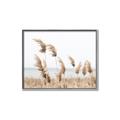 Picture of Beach Pampas _GroupedProduct_Rectangle_Landscape_Photography _GroupedProduct_Rectangle_Landscape_Canvas_Framed_