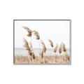 Picture of Beach Pampas _GroupedProduct_Rectangle_Landscape_Photography _GroupedProduct_Rectangle_Landscape_Canvas_Framed_
