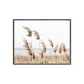 Picture of Beach Pampas _GroupedProduct_Rectangle_Landscape_Photography _GroupedProduct_Rectangle_Landscape_Canvas_Framed_