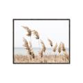 Picture of Beach Pampas _GroupedProduct_Rectangle_Landscape_Photography _GroupedProduct_Rectangle_Landscape_Canvas_Framed_
