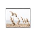 Picture of Beach Pampas _GroupedProduct_Rectangle_Landscape_Photography _GroupedProduct_Rectangle_Landscape_Canvas_Framed_