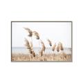 Picture of Beach Pampas _GroupedProduct_Rectangle_Landscape_Photography _GroupedProduct_Rectangle_Landscape_Canvas_Framed_