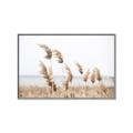 Picture of Beach Pampas _GroupedProduct_Rectangle_Landscape_Photography _GroupedProduct_Rectangle_Landscape_Canvas_Framed_