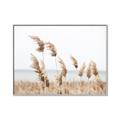 Picture of Beach Pampas _GroupedProduct_Rectangle_Landscape_Photography _GroupedProduct_Rectangle_Landscape_Canvas_Framed_
