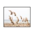 Picture of Beach Pampas _GroupedProduct_Rectangle_Landscape_Photography _GroupedProduct_Rectangle_Landscape_Canvas_Framed_
