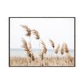 Picture of Beach Pampas _GroupedProduct_Rectangle_Landscape_Photography _GroupedProduct_Rectangle_Landscape_Canvas_Framed_