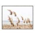 Picture of Beach Pampas _GroupedProduct_Rectangle_Landscape_Photography _GroupedProduct_Rectangle_Landscape_Canvas_Framed_