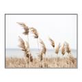 Picture of Beach Pampas _GroupedProduct_Rectangle_Landscape_Photography _GroupedProduct_Rectangle_Landscape_Canvas_Framed_
