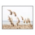 Picture of Beach Pampas _GroupedProduct_Rectangle_Landscape_Photography _GroupedProduct_Rectangle_Landscape_Canvas_Framed_