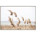 Picture of Beach Pampas _GroupedProduct_Rectangle_Landscape_Photography _GroupedProduct_Rectangle_Landscape_Canvas_Framed_