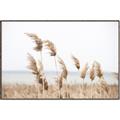 Picture of Beach Pampas _GroupedProduct_Rectangle_Landscape_Photography _GroupedProduct_Rectangle_Landscape_Canvas_Framed_