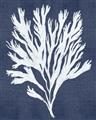 Picture of Navy Coral II  _GroupedProduct_Rectangle_Portrait_Unframed_Print_Only_