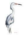 Picture of Egret I  _GroupedProduct_Rectangle_Portrait_Unframed_Print_Only_