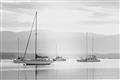 Picture of All the Sails  _GroupedProduct_Rectangle_Landscape_Unframed_Print_Only_