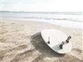 Picture of Surfboard on the Sand _GroupedProduct_Rectangle_Landscape_Photography _GroupedProduct_Rectangle_Landscape_Unframed_Print_Only_