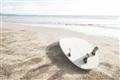 Picture of Surfboard on the Sand _GroupedProduct_Rectangle_Landscape_Photography _GroupedProduct_Rectangle_Landscape_Unframed_Print_Only_