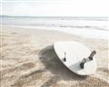 Picture of Surfboard on the Sand _GroupedProduct_Rectangle_Landscape_Photography _GroupedProduct_Rectangle_Landscape_Unframed_Print_Only_