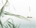 Picture of Sailboat in the Distance _GroupedProduct_Rectangle_Landscape_Photography _GroupedProduct_Rectangle_Landscape_Unframed_Print_Only_