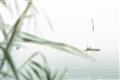 Picture of Sailboat in the Distance _GroupedProduct_Rectangle_Landscape_Photography _GroupedProduct_Rectangle_Landscape_Unframed_Print_Only_