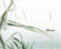 Picture of Sailboat in the Distance _GroupedProduct_Rectangle_Landscape_Photography _GroupedProduct_Rectangle_Landscape_Unframed_Print_Only_