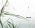 Picture of Sailboat in the Distance _GroupedProduct_Rectangle_Landscape_Photography _GroupedProduct_Rectangle_Landscape_Unframed_Print_Only_