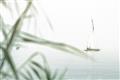 Picture of Sailboat in the Distance _GroupedProduct_Rectangle_Landscape_Photography _GroupedProduct_Rectangle_Landscape_Unframed_Print_Only_