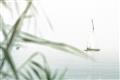 Picture of Sailboat in the Distance _GroupedProduct_Rectangle_Landscape_Photography _GroupedProduct_Rectangle_Landscape_Unframed_Print_Only_