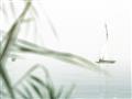 Picture of Sailboat in the Distance _GroupedProduct_Rectangle_Landscape_Photography _GroupedProduct_Rectangle_Landscape_Unframed_Print_Only_