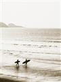Picture of Surfs Up _GroupedProduct_Rectangle_Portrait_Photography _GroupedProduct_Rectangle_Portrait_Unframed_Print_Only_