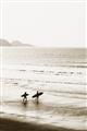 Picture of Surfs Up _GroupedProduct_Rectangle_Portrait_Photography _GroupedProduct_Rectangle_Portrait_Unframed_Print_Only_
