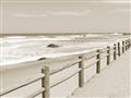 Picture of Beach Fence _GroupedProduct_Rectangle_Landscape_Photography _GroupedProduct_Rectangle_Landscape_Unframed_Print_Only_