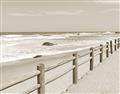 Picture of Beach Fence _GroupedProduct_Rectangle_Landscape_Photography _GroupedProduct_Rectangle_Landscape_Unframed_Print_Only_