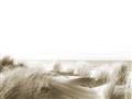 Picture of Sandy Beach I _GroupedProduct_Rectangle_Landscape_Photography _GroupedProduct_Rectangle_Landscape_Unframed_Print_Only_
