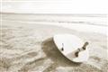 Picture of Surfboard on the Sand _GroupedProduct_Rectangle_Landscape_Photography _GroupedProduct_Rectangle_Landscape_Unframed_Print_Only_
