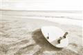 Picture of Surfboard on the Sand _GroupedProduct_Rectangle_Landscape_Photography _GroupedProduct_Rectangle_Landscape_Unframed_Print_Only_